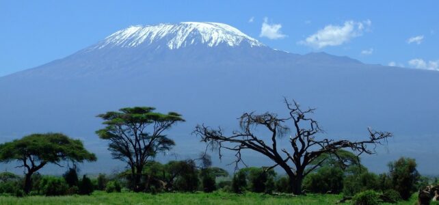 Quel est le meilleur safari au Kenya ?